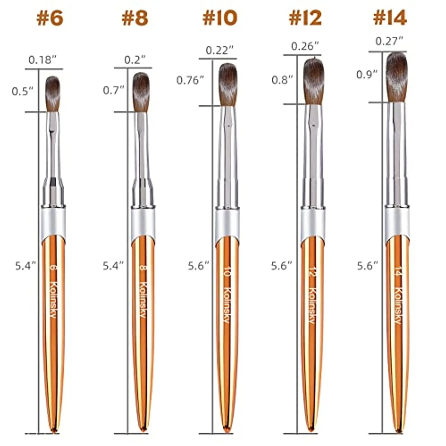 100% Kolinsky Acrylic Nail Brush, pure handmake Round Shape (Size # 6/8/10/12/14) Acrylic Art Brush for Nail Acrylic Application, Professional Nail Art Brush Manicure for Women (#10)