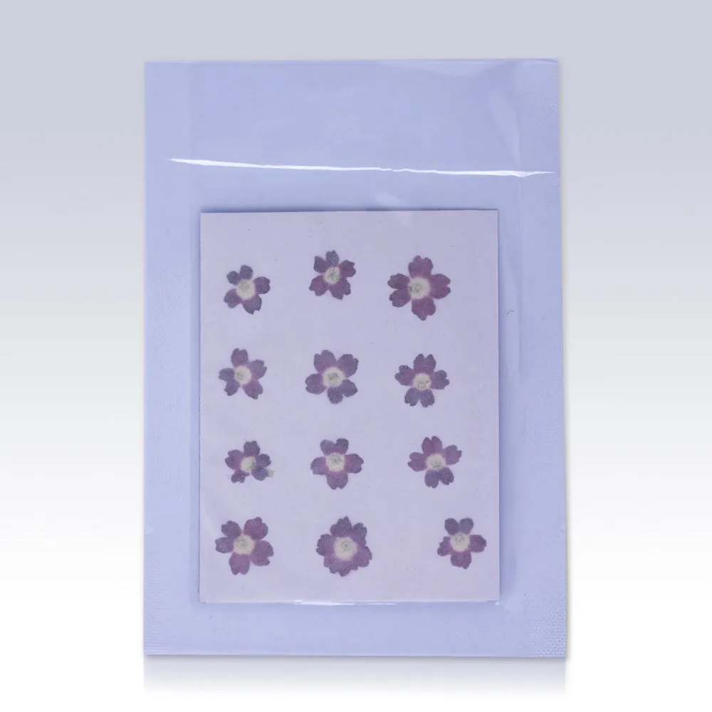 12pcs Dried Real Pressed Flower Stickers dyed pressed flower art  Nature jewelry