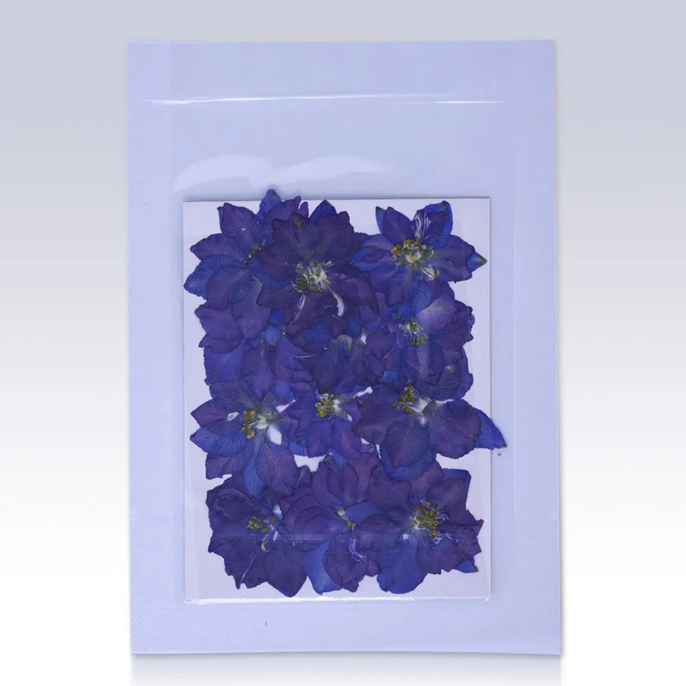 12pcs Dried Real Pressed Flower Stickers dyed pressed flower for phone case