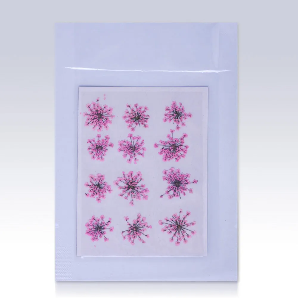 12pcs Real Pressed Flowers dried pressed  flower for Crafting Real Botanical Jewelry