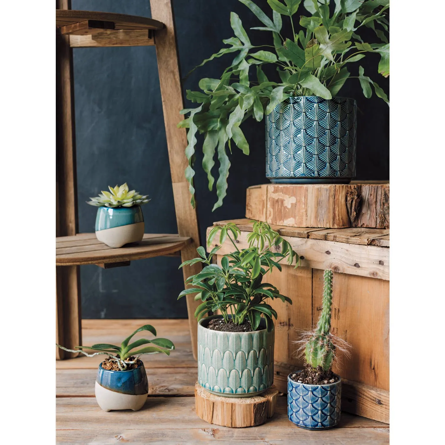Azure Plume Plant Pot: 6.5 inch