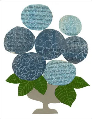 Blue Hydrangeas