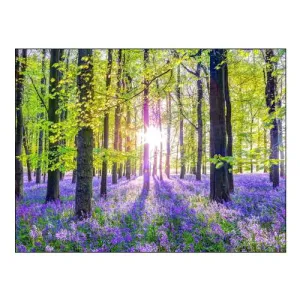Bluebells
