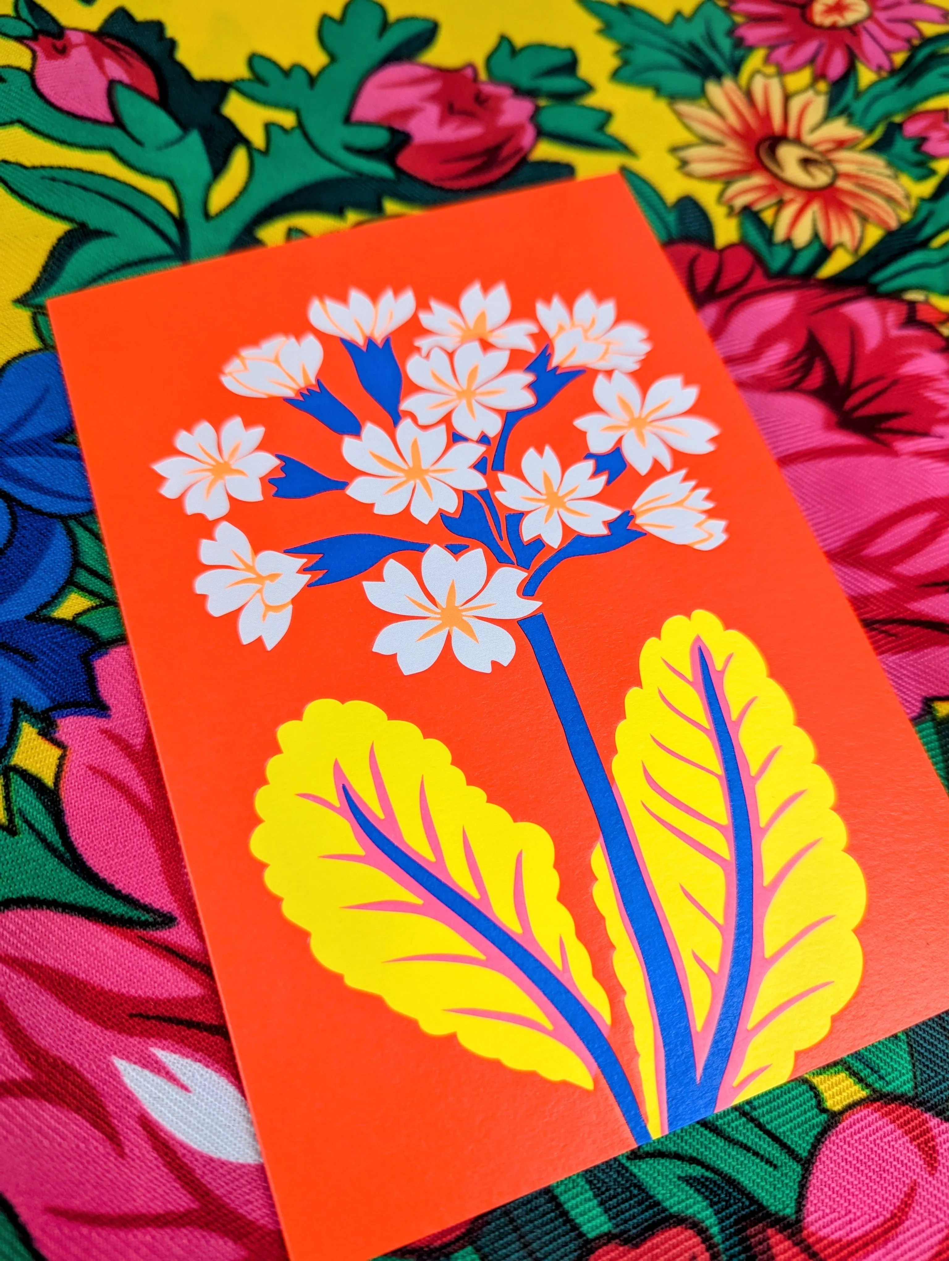 Brightest florals