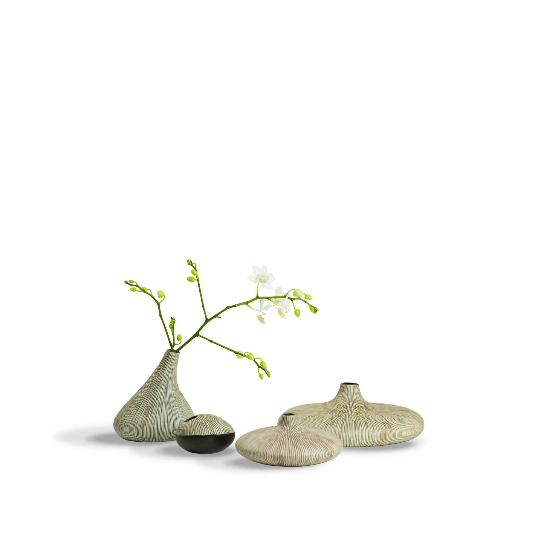 Bud Vase - WO1