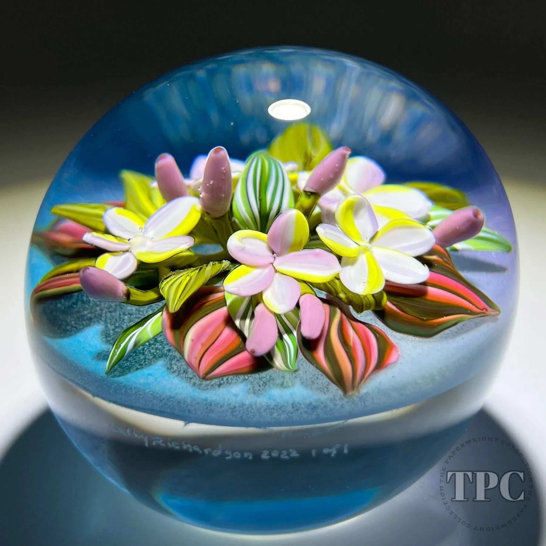 Cathy Richardson 2022 Glass Art Paperweight Flamework Pink & Yellow Plumeria Flowers on Blue