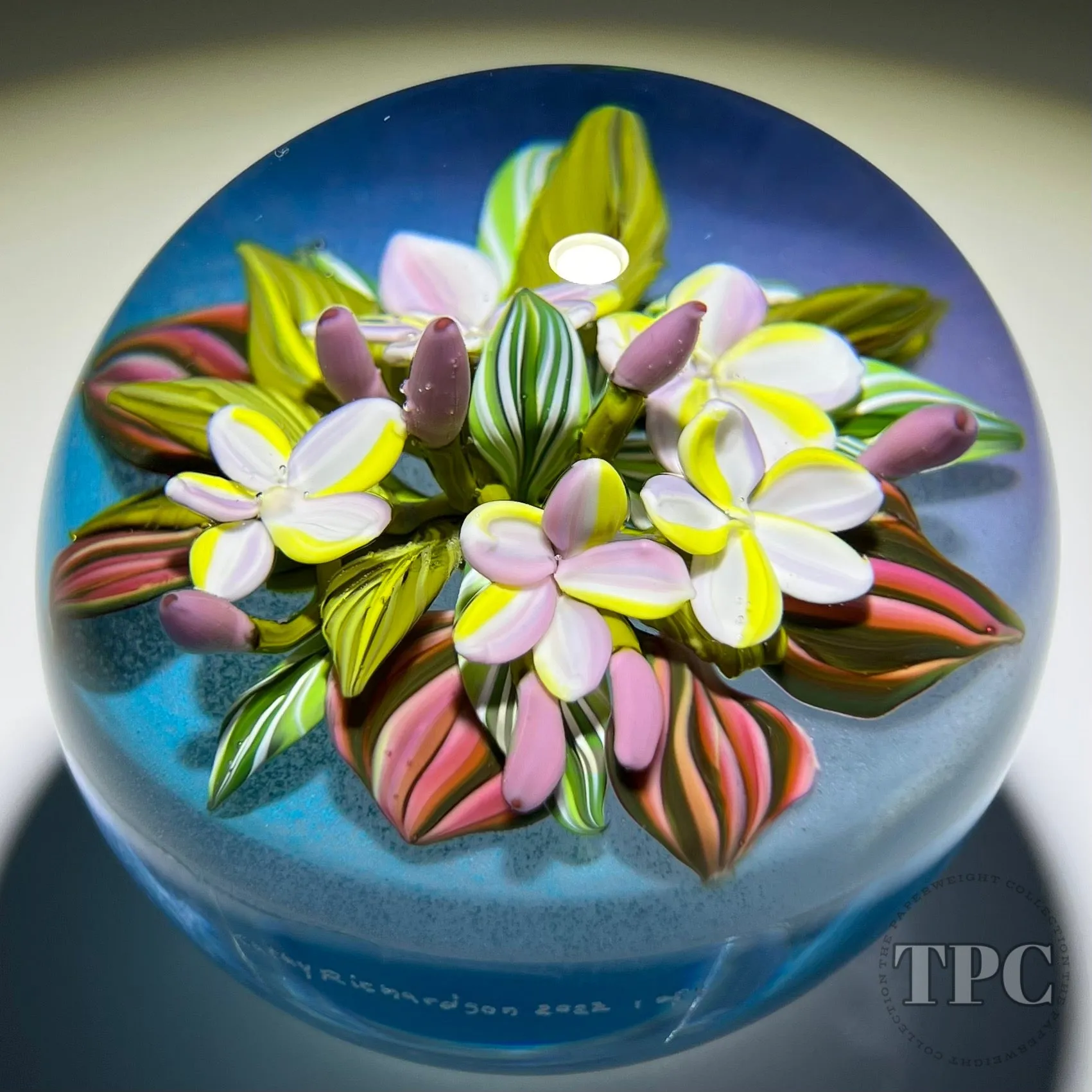 Cathy Richardson 2022 Glass Art Paperweight Flamework Pink & Yellow Plumeria Flowers on Blue