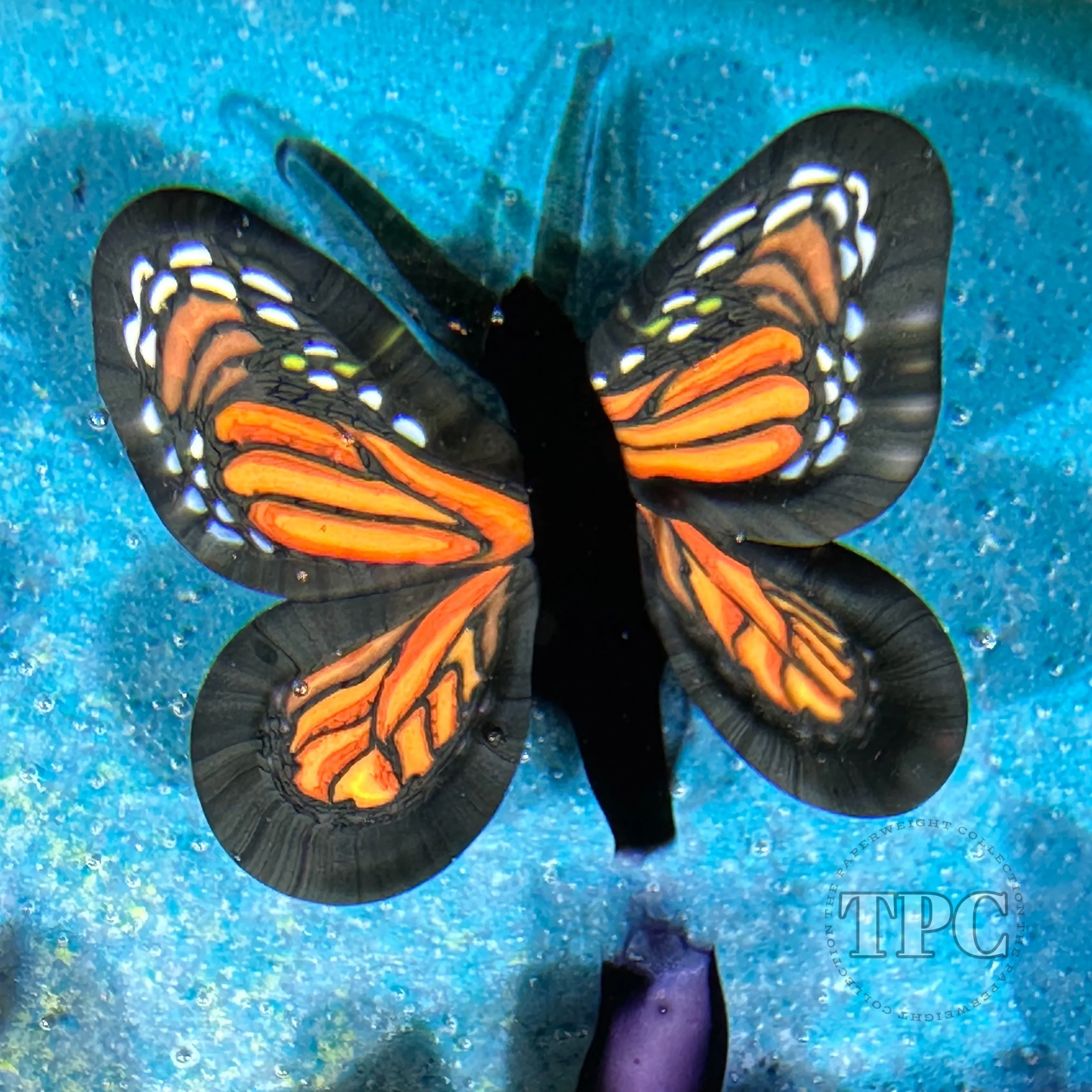 Cathy Richardson 2023 Glass Art Paperweight Flamework Monarchs & Cornflowers 1 of 1