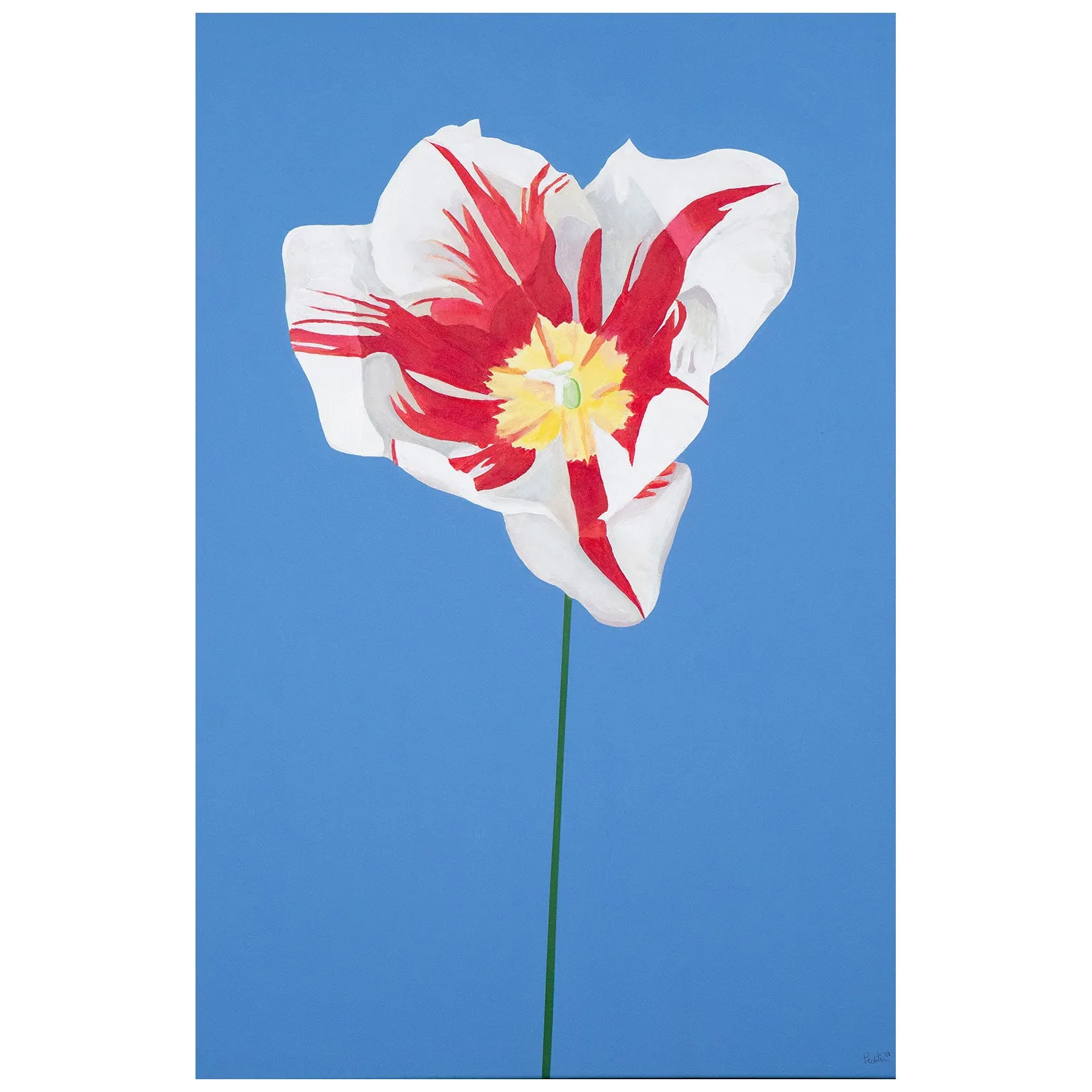 CHARLES PACHTER "GRAND TULIP" ACRYLIC ON CANVAS, 2020
