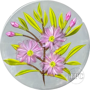 Chris Buzzini 1994 Glass Art Paperweight LE Flamework Pink Daisies