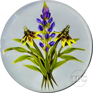 Chris Buzzini 1998 Glass Art Paperweight Flamework Wildflower Bouquet