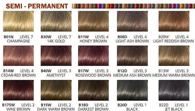 Clairol Semi-Permanent Hair color