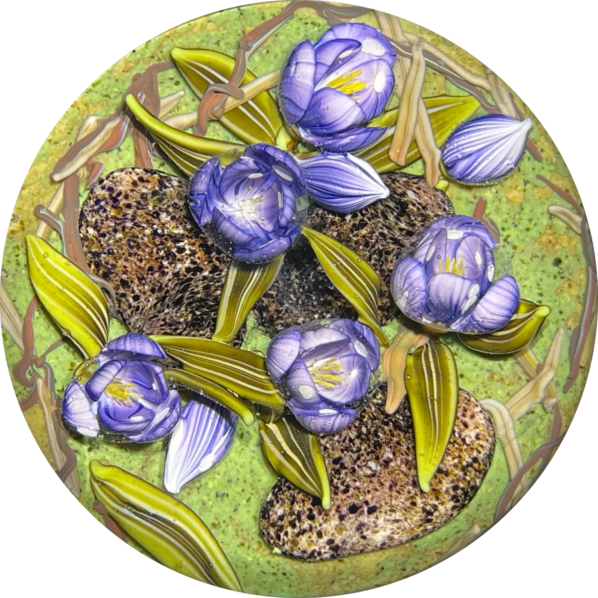 Clinton Smith 2021 Flamework Purple Crocuses With Granite Stones Glass Art Paperweight