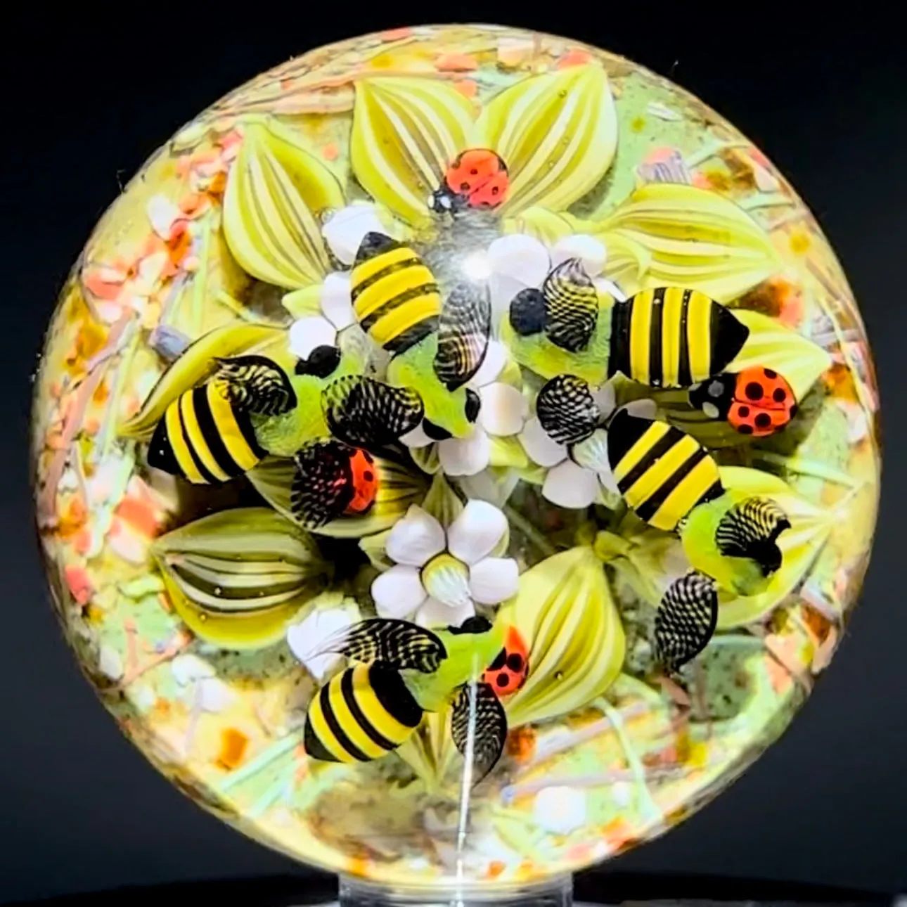 Clinton Smith 2023 Large Glass Art Marble Double Sided Flamework Colorful Free Frog & Bees with Ladybugs