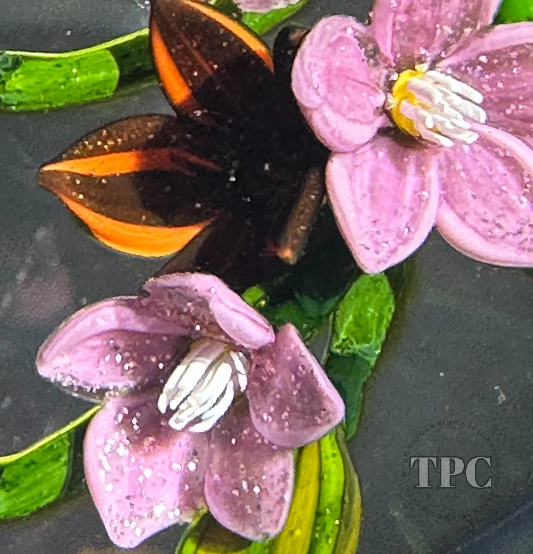 Colin Richardson 2022 Glass Art Paperweight Flamework Pink Dichroic Crescent Flower Bouquet "Blessing of the West Wind's Bride"