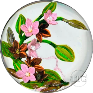 Colin Richardson 2022 Glass Art Paperweight Flamework Pink Dichroic Crescent Flower Bouquet "Blessing of the West Wind's Bride"