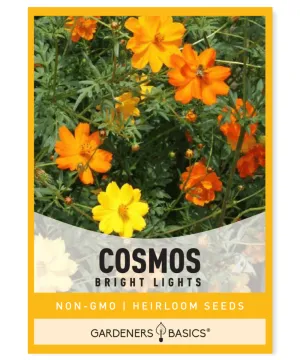 Cosmos Bright Lights Seeds