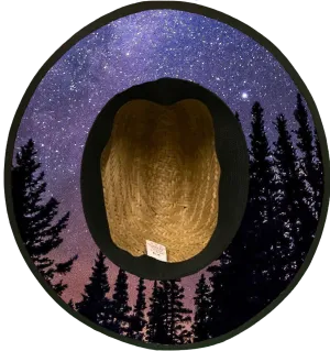 Cosmos