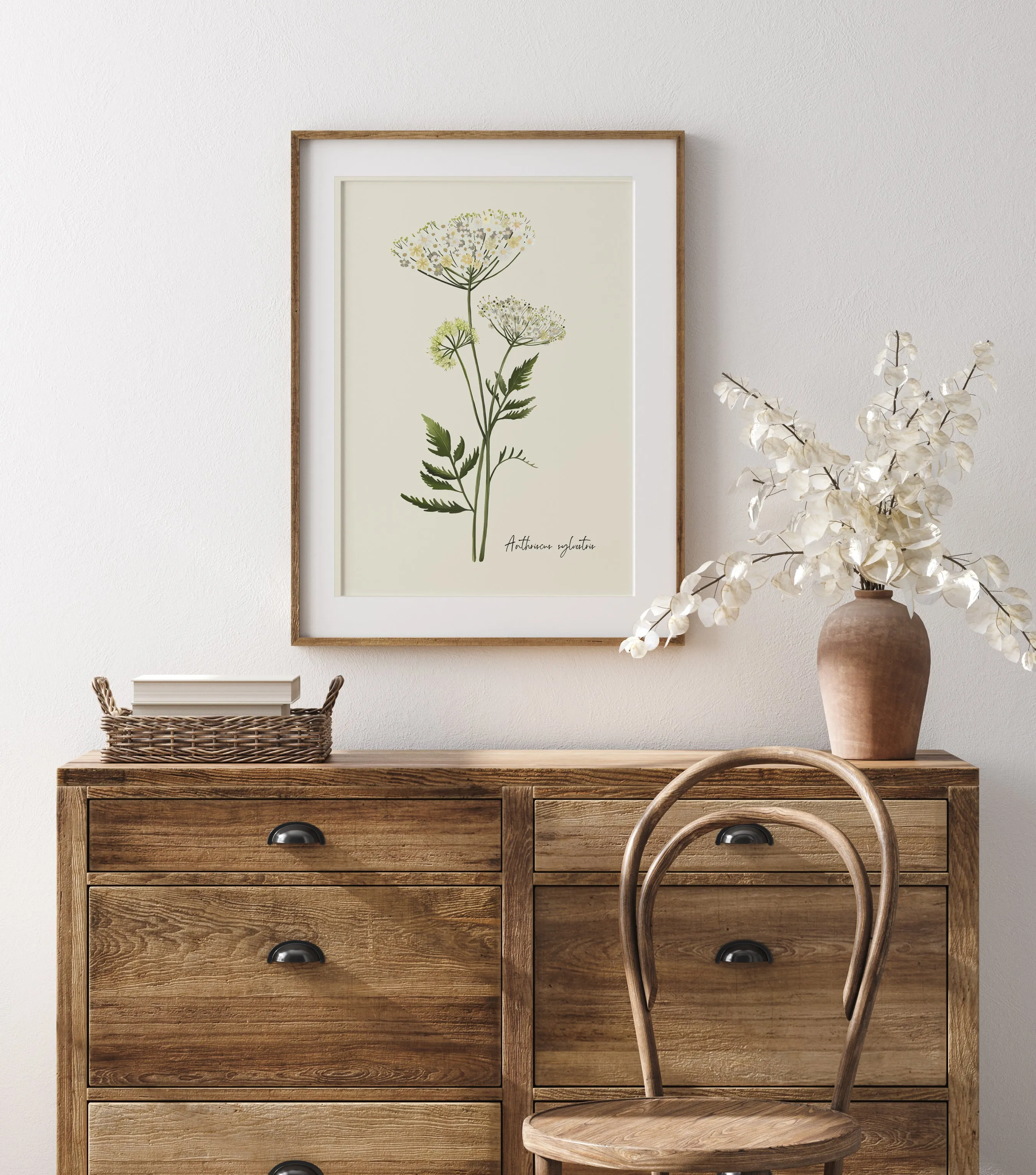 Cow Parsley Flower Art Print
