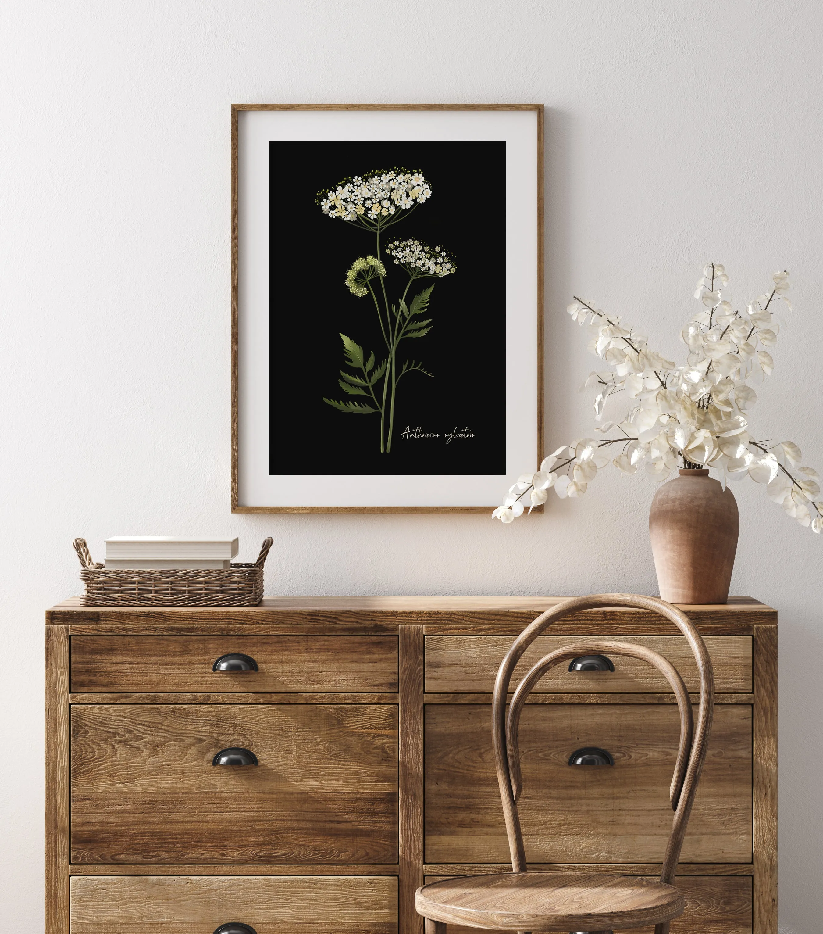 Cow Parsley Flower Art Print