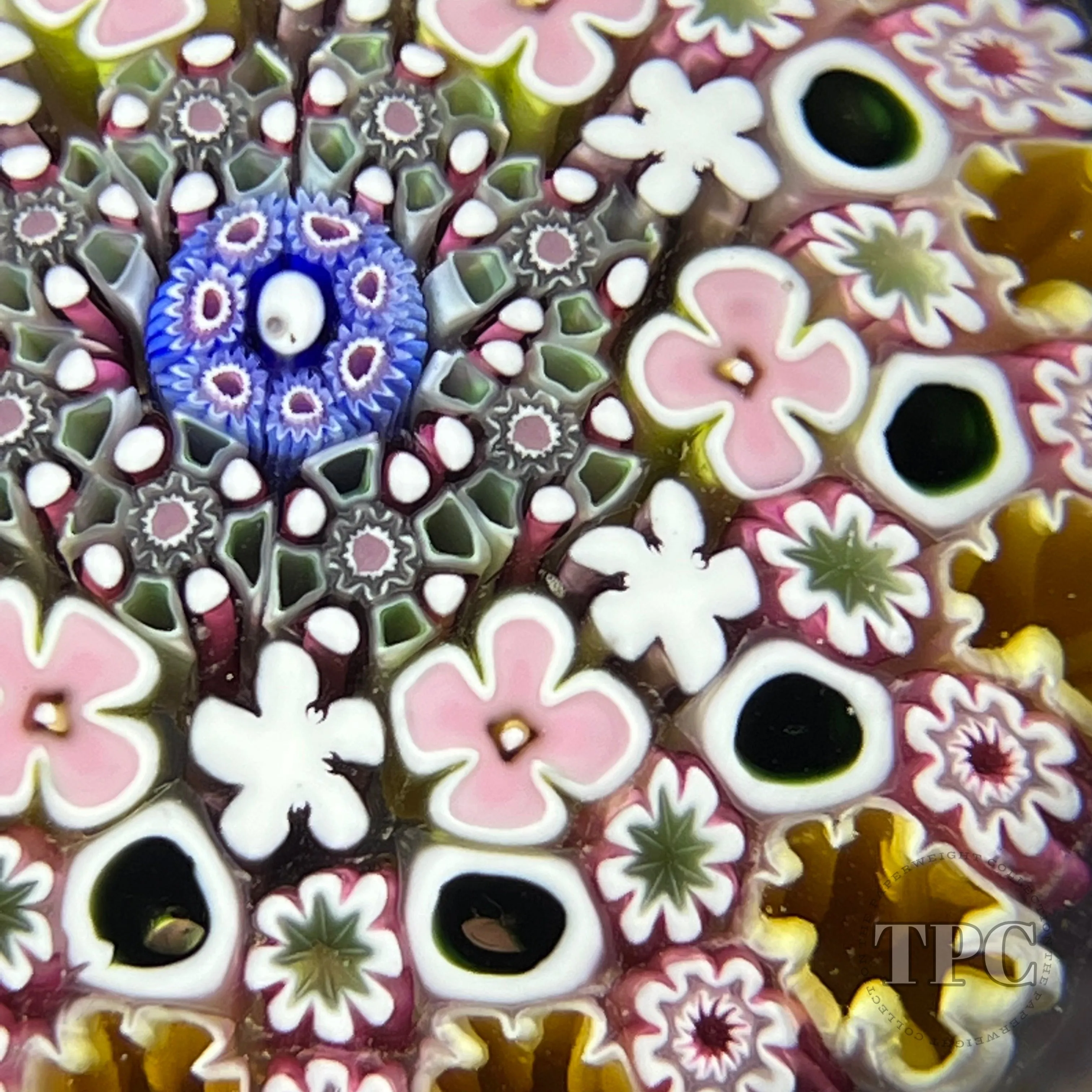 Damon MacNaught 2022 Glass Art Paperweight Complex Concentric Millefiori in Staves