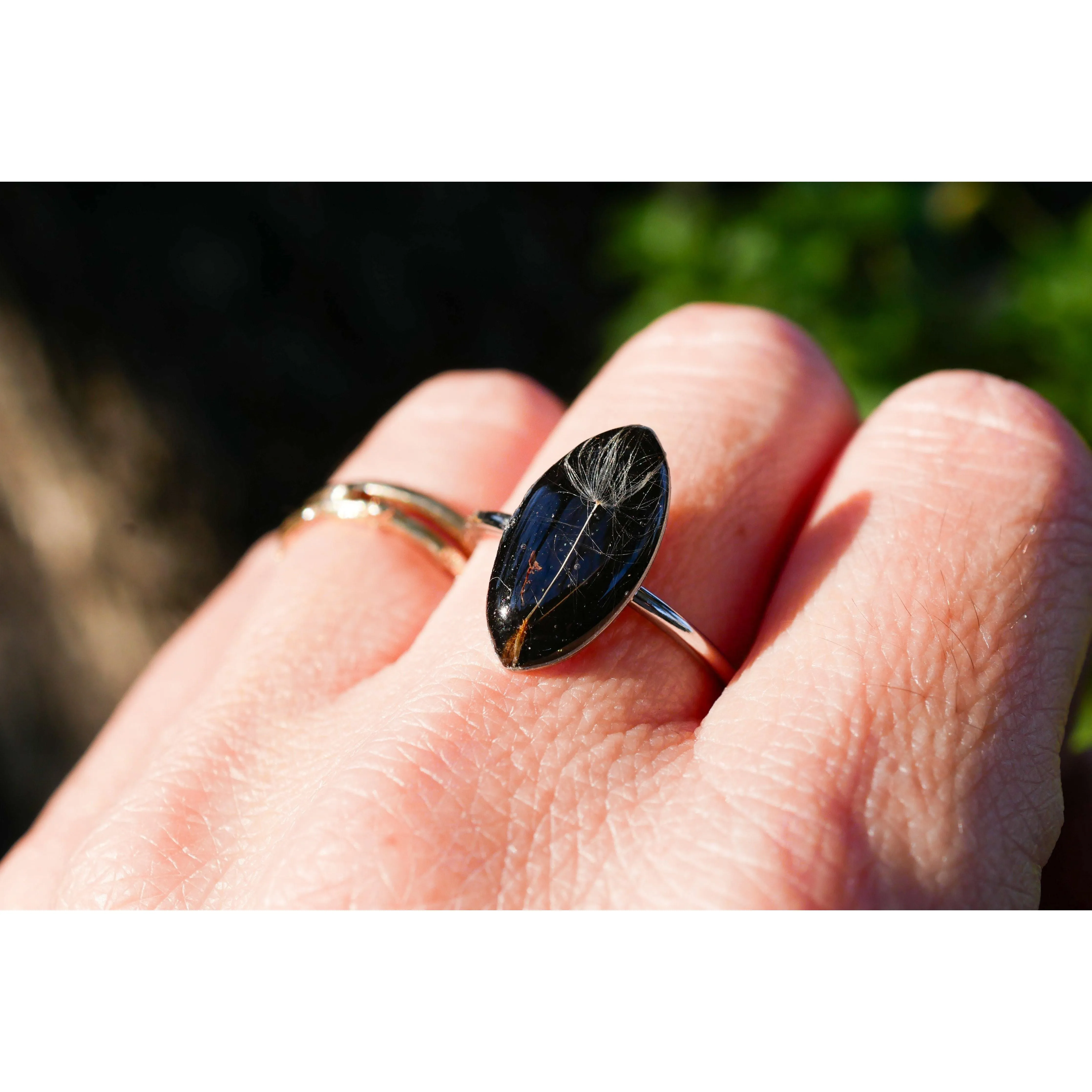 Dandelion seed ring