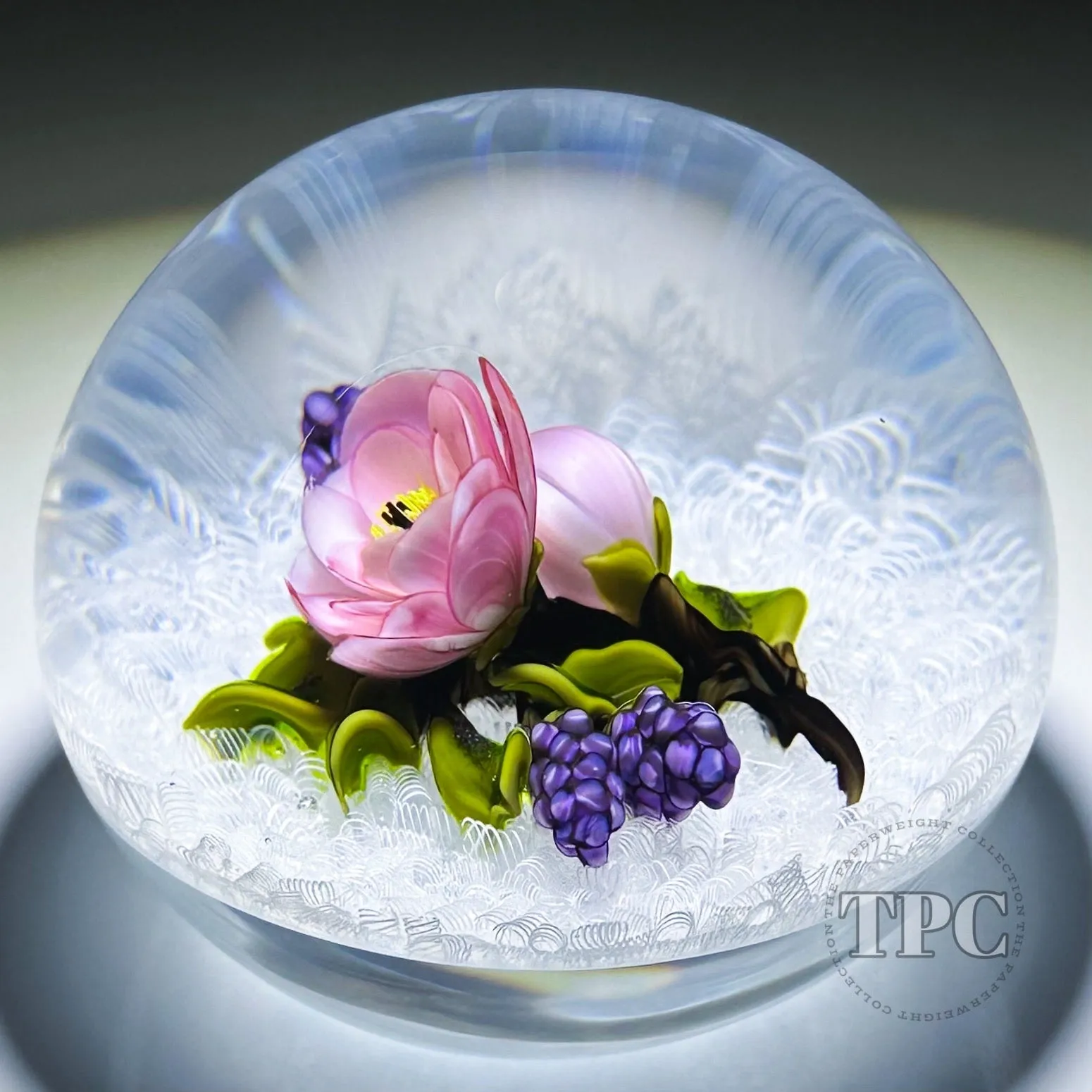 David & Jon Trabucco 1997 Glass Art Paperweight Flamework China Rose with Blackberries