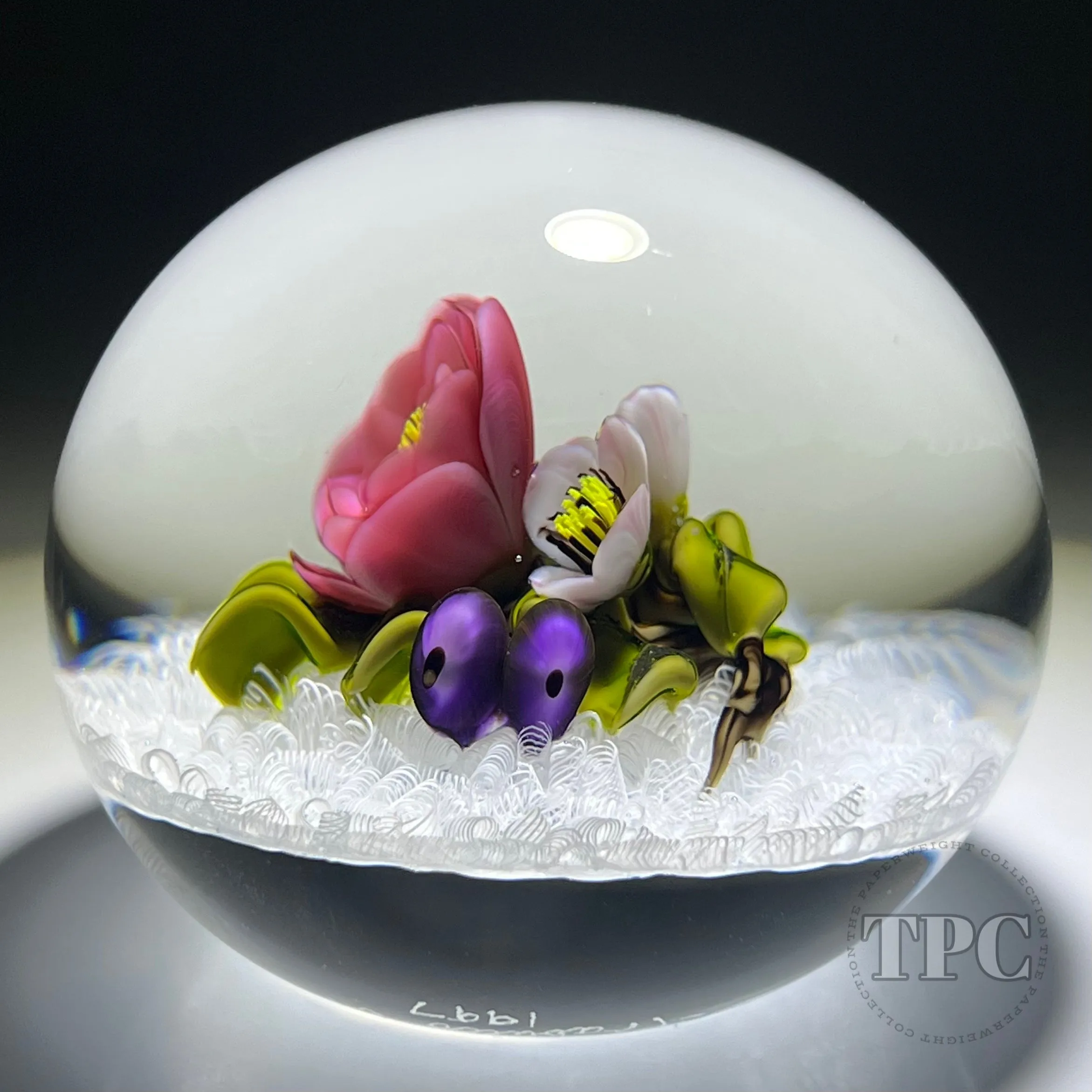 David & Jon Trabucco 1997 Glass Art Paperweight Flamework China Rose with Blueberries on Upset White Muslin Lace