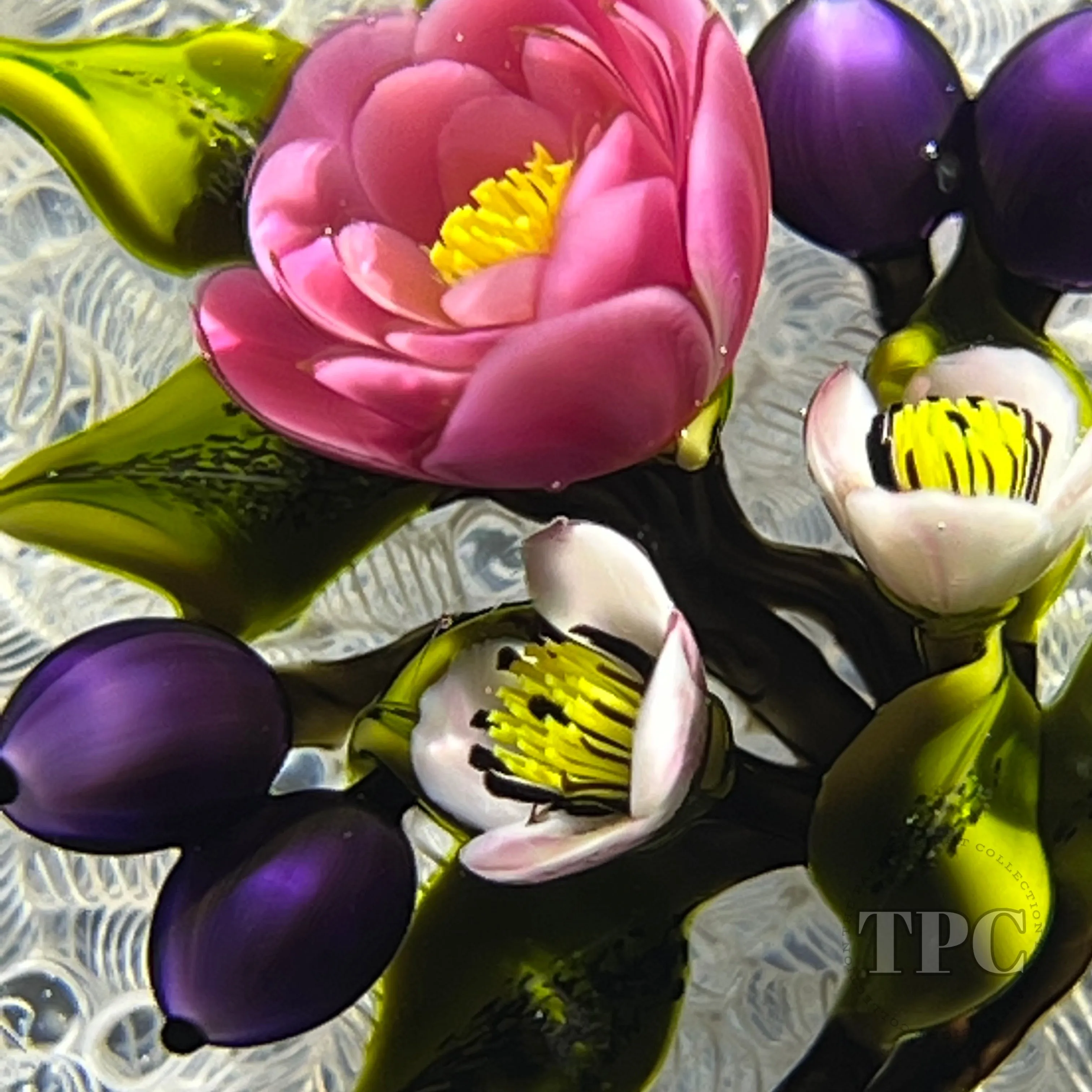 David & Jon Trabucco 1997 Glass Art Paperweight Flamework China Rose with Blueberries on Upset White Muslin Lace
