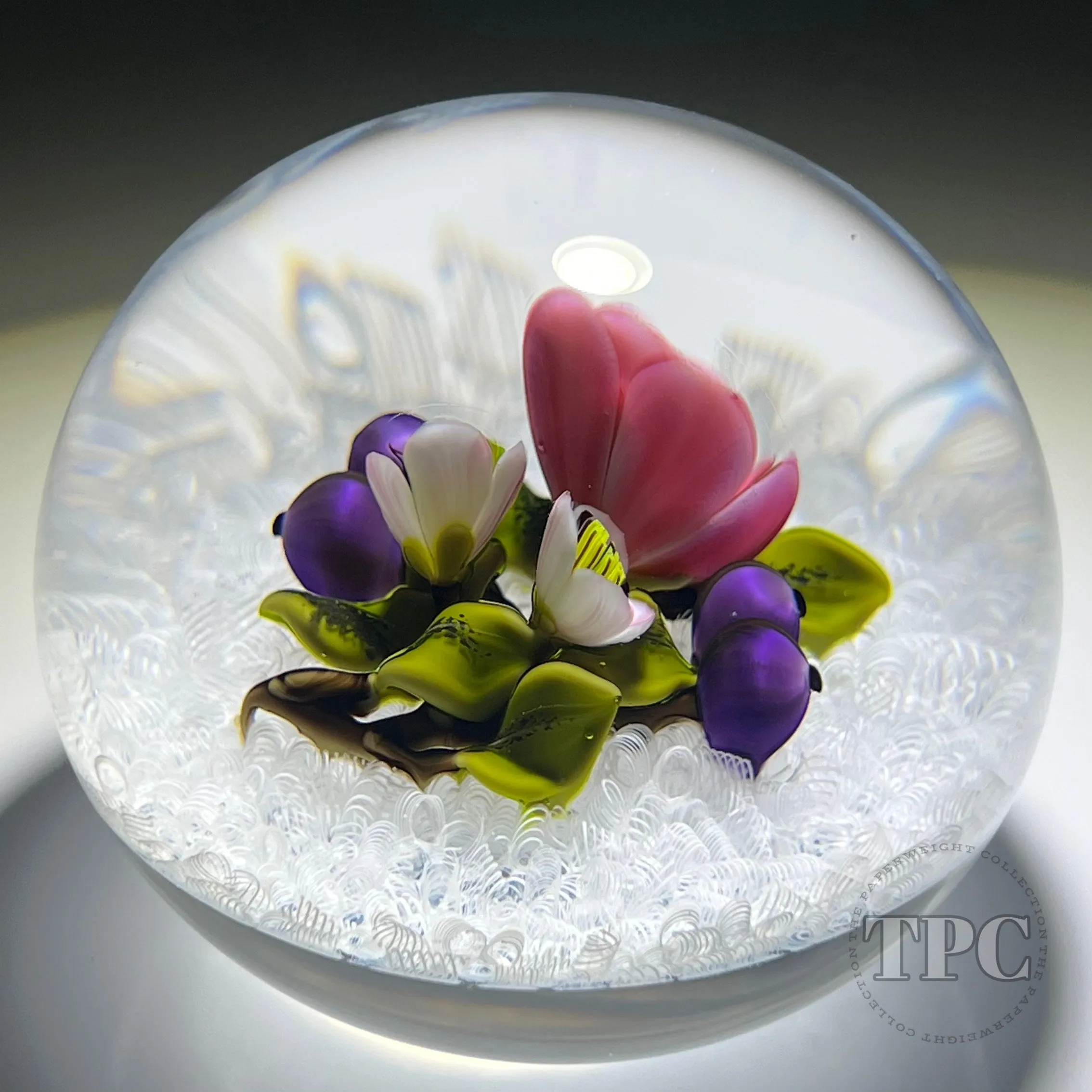 David & Jon Trabucco 1997 Glass Art Paperweight Flamework China Rose with Blueberries on Upset White Muslin Lace