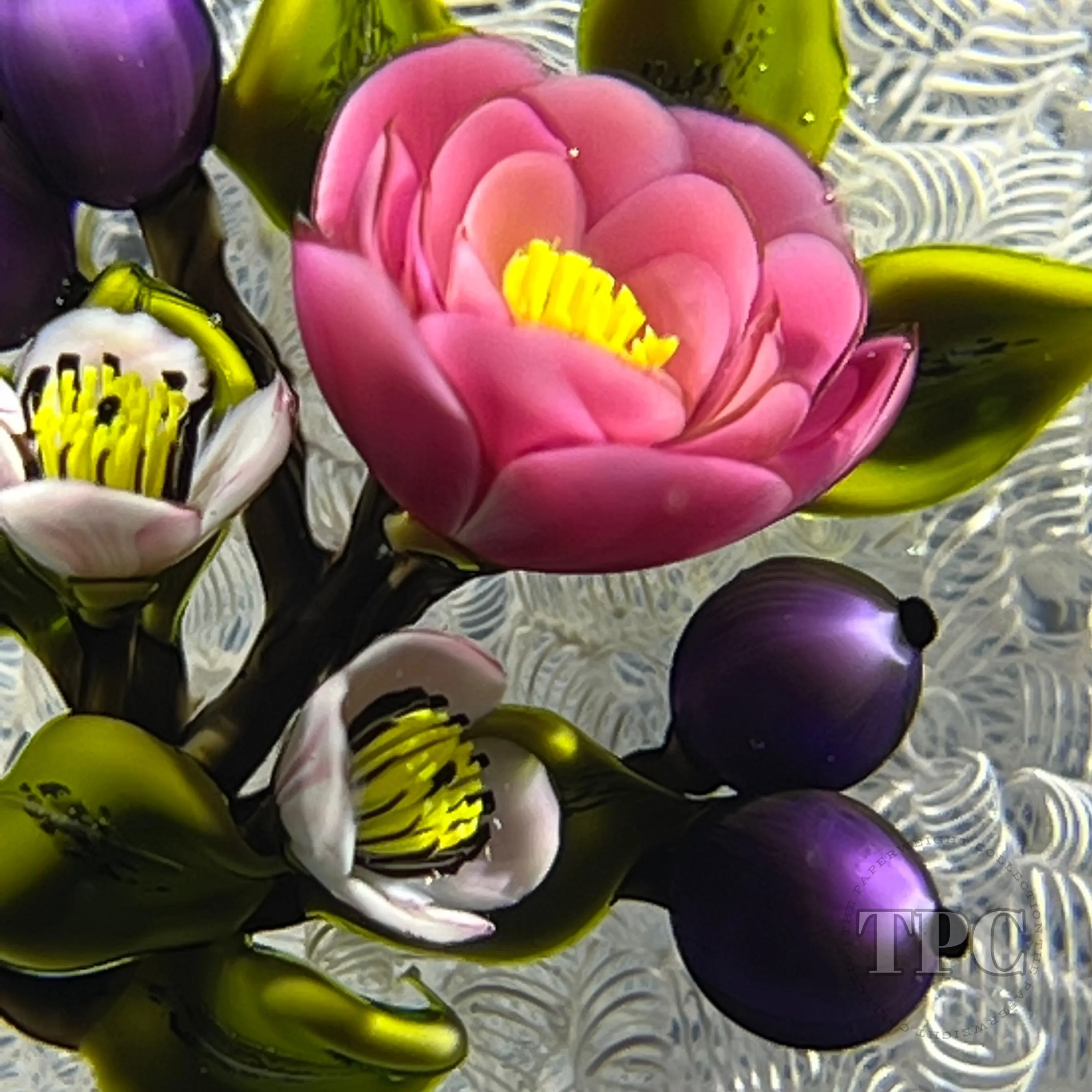 David & Jon Trabucco 1997 Glass Art Paperweight Flamework China Rose with Blueberries on Upset White Muslin Lace