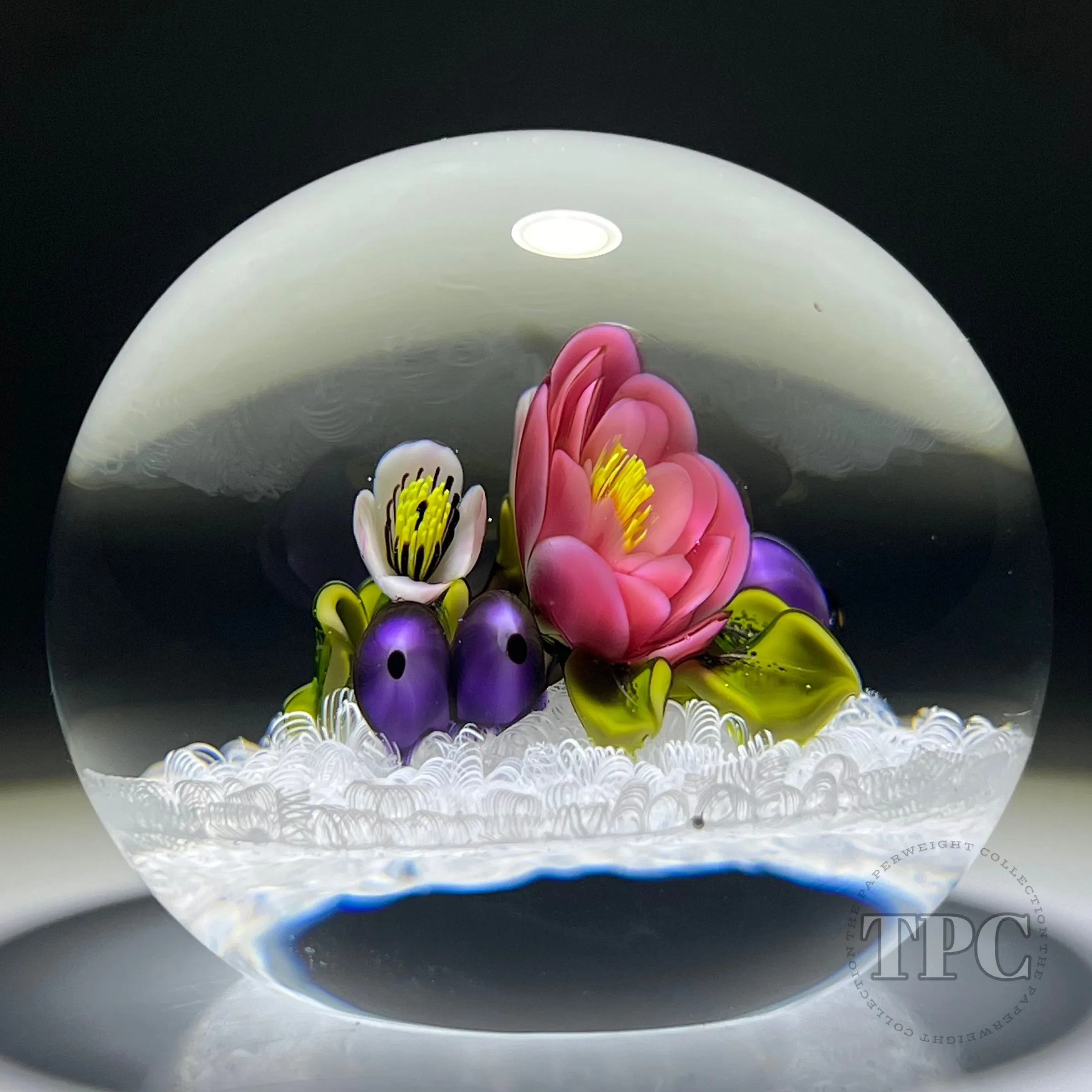 David & Jon Trabucco 1997 Glass Art Paperweight Flamework China Rose with Blueberries on Upset White Muslin Lace