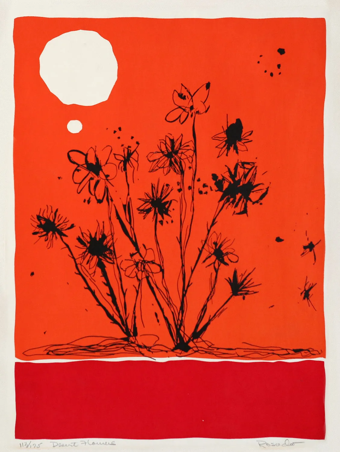 Desert Flowers