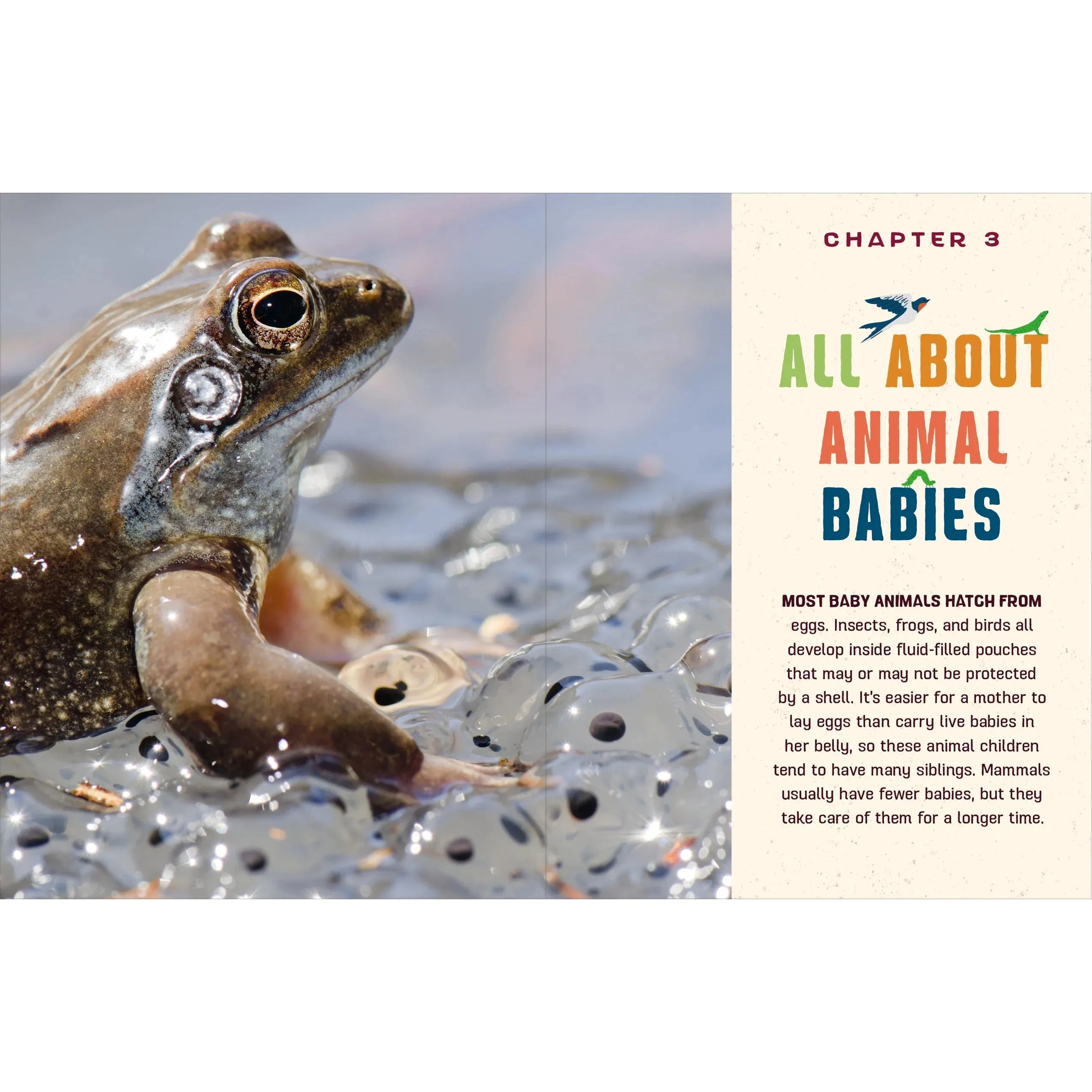 Do You Know Where the Animals Live? Discovering the Incredible Creatures All Around Us