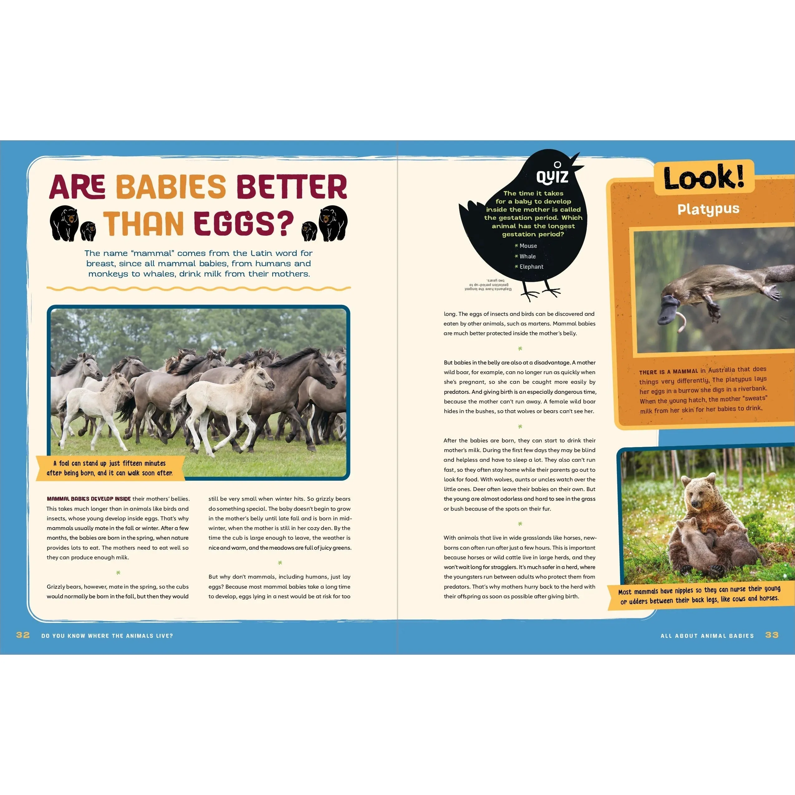 Do You Know Where the Animals Live? Discovering the Incredible Creatures All Around Us