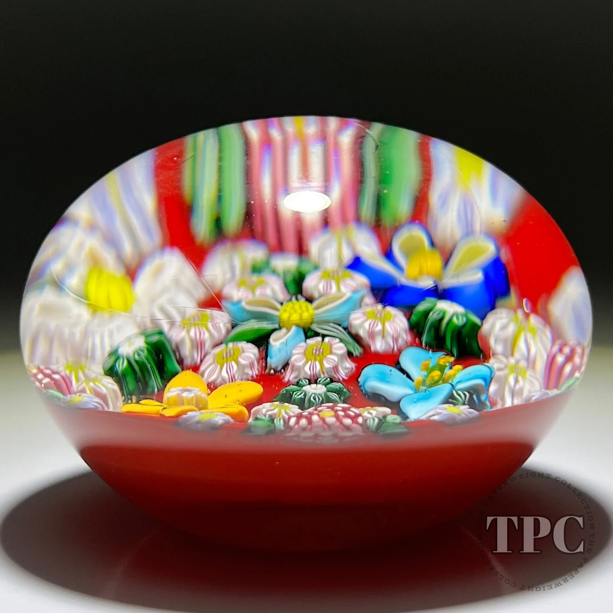 Drew Ebelhare & Sue Fox 2019 Glass Art Paperweight Patterned Flamework Flowers and Complex Millefiori on Red Ground