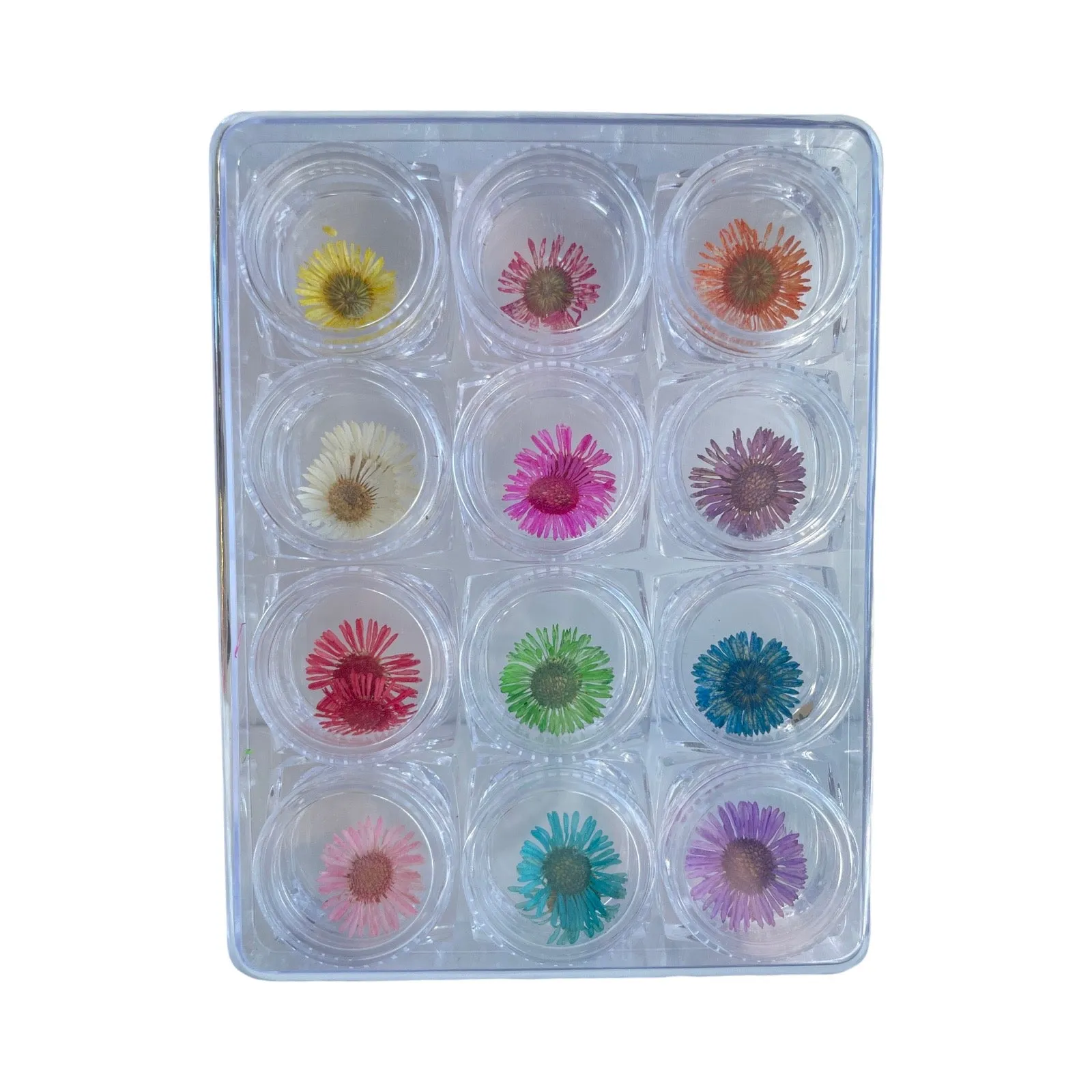 Dry Nature Flowers - 12pcs (DF-02)