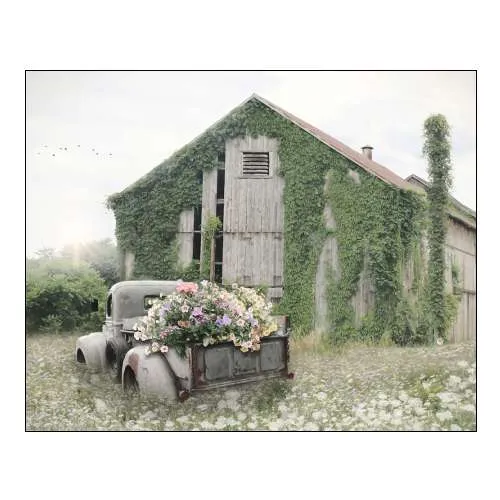 Field of Flowers