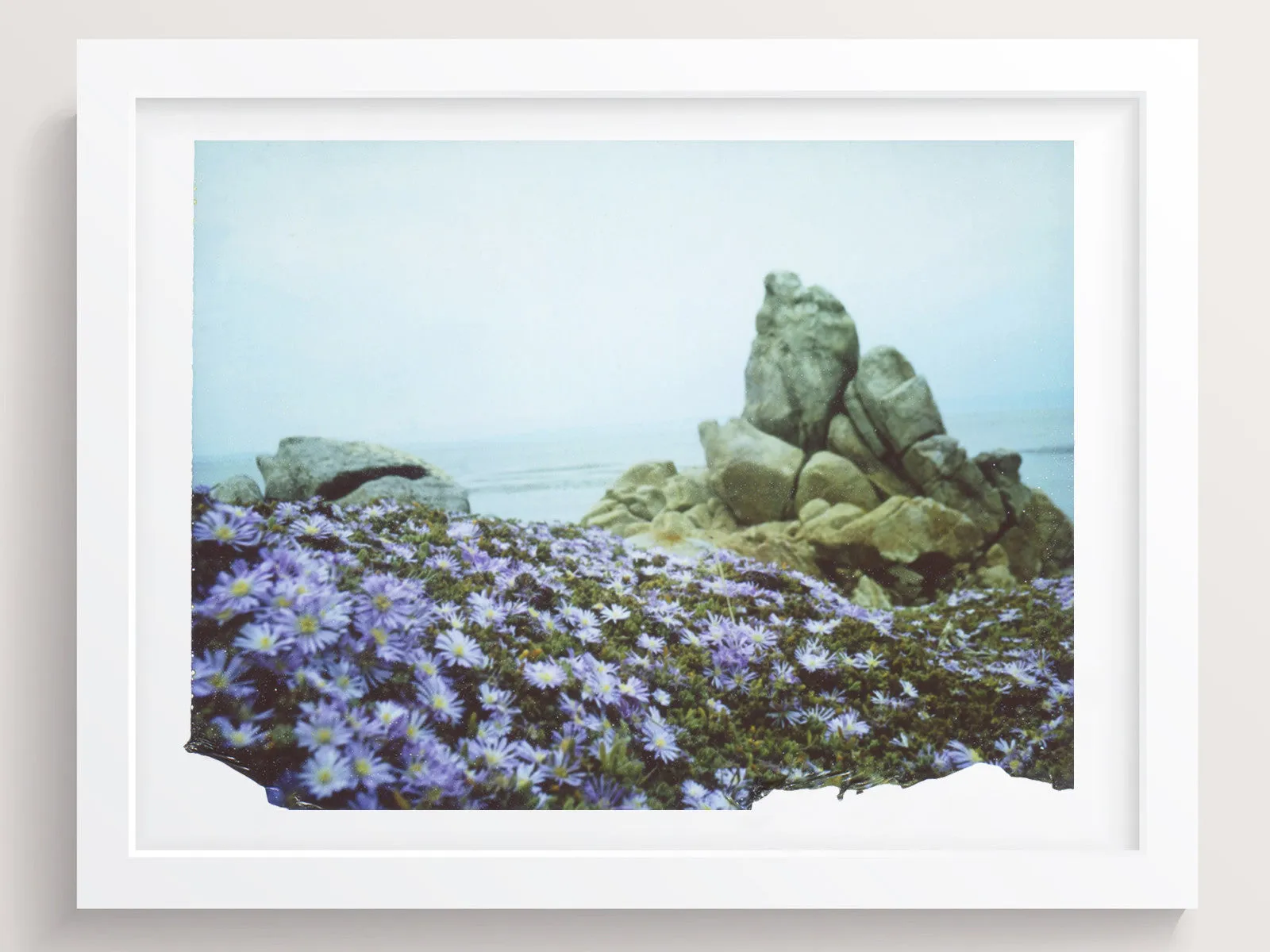 Flowers Dressed In Purple