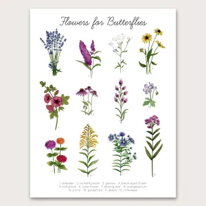Flowers for Butterflies - 5"x7" Art Print