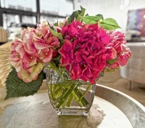 Hydrangea - NDI