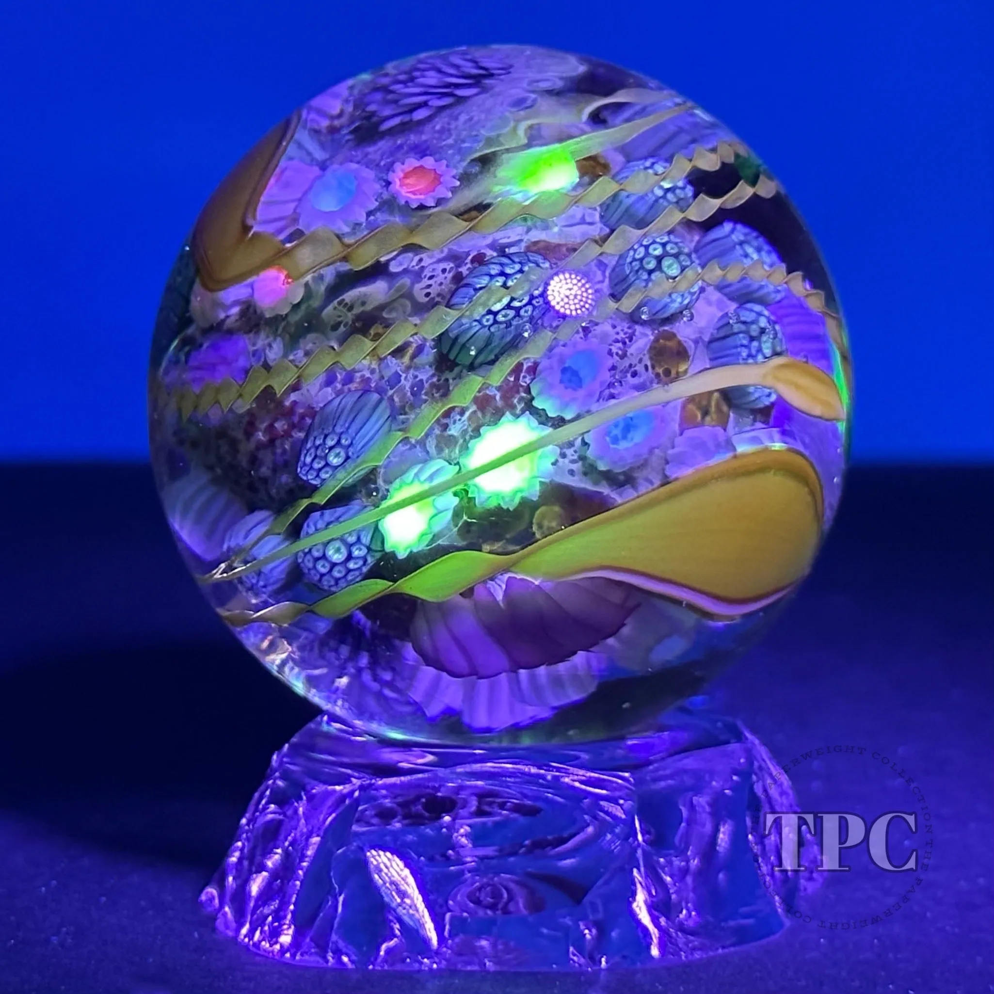 Jared DeLong 2023 Glass Art Marble Pacific Coast Tide Pool Series with Bioluminescent Barnacles & Flamework Kelp