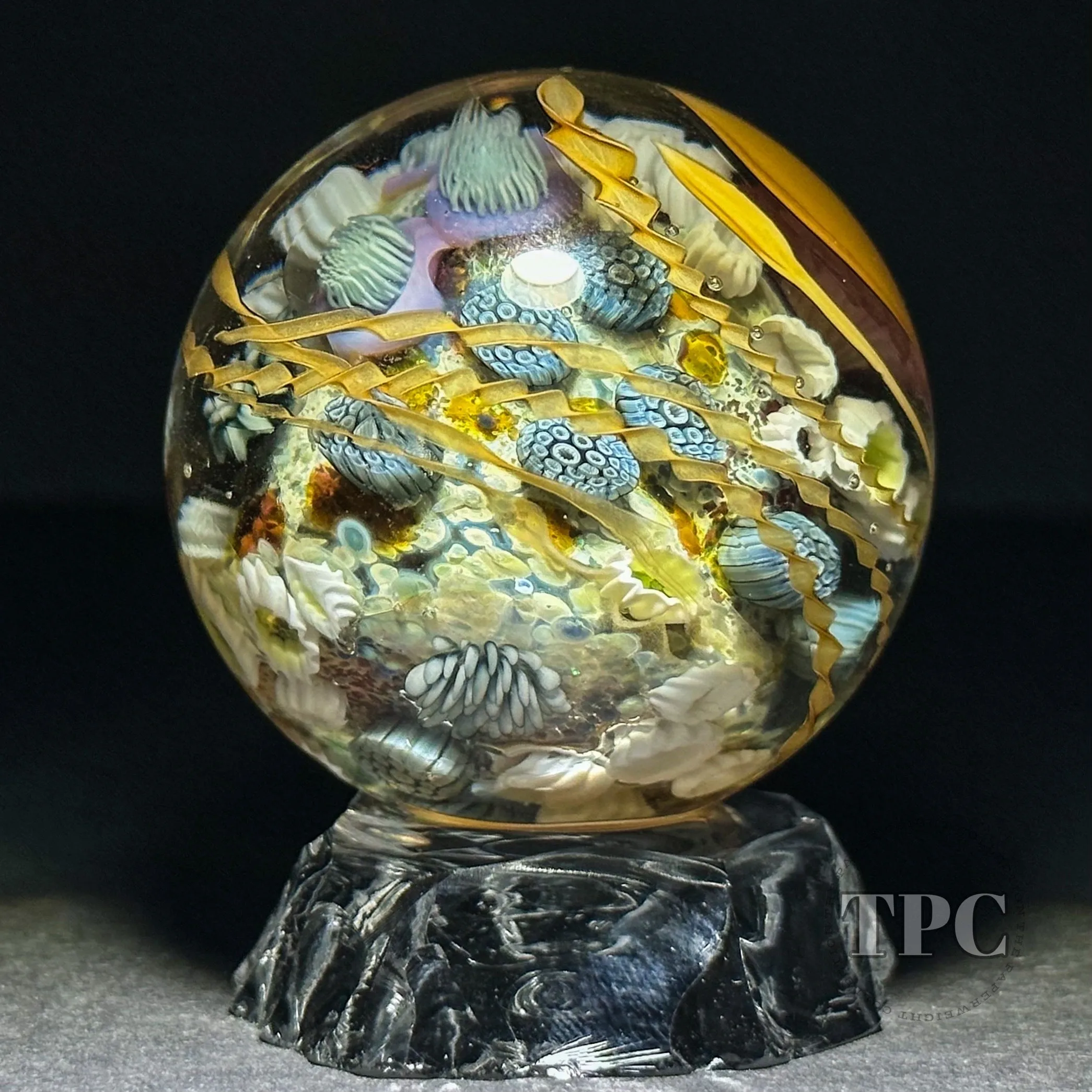 Jared DeLong 2023 Glass Art Marble Pacific Coast Tide Pool Series with Bioluminescent Barnacles & Flamework Kelp