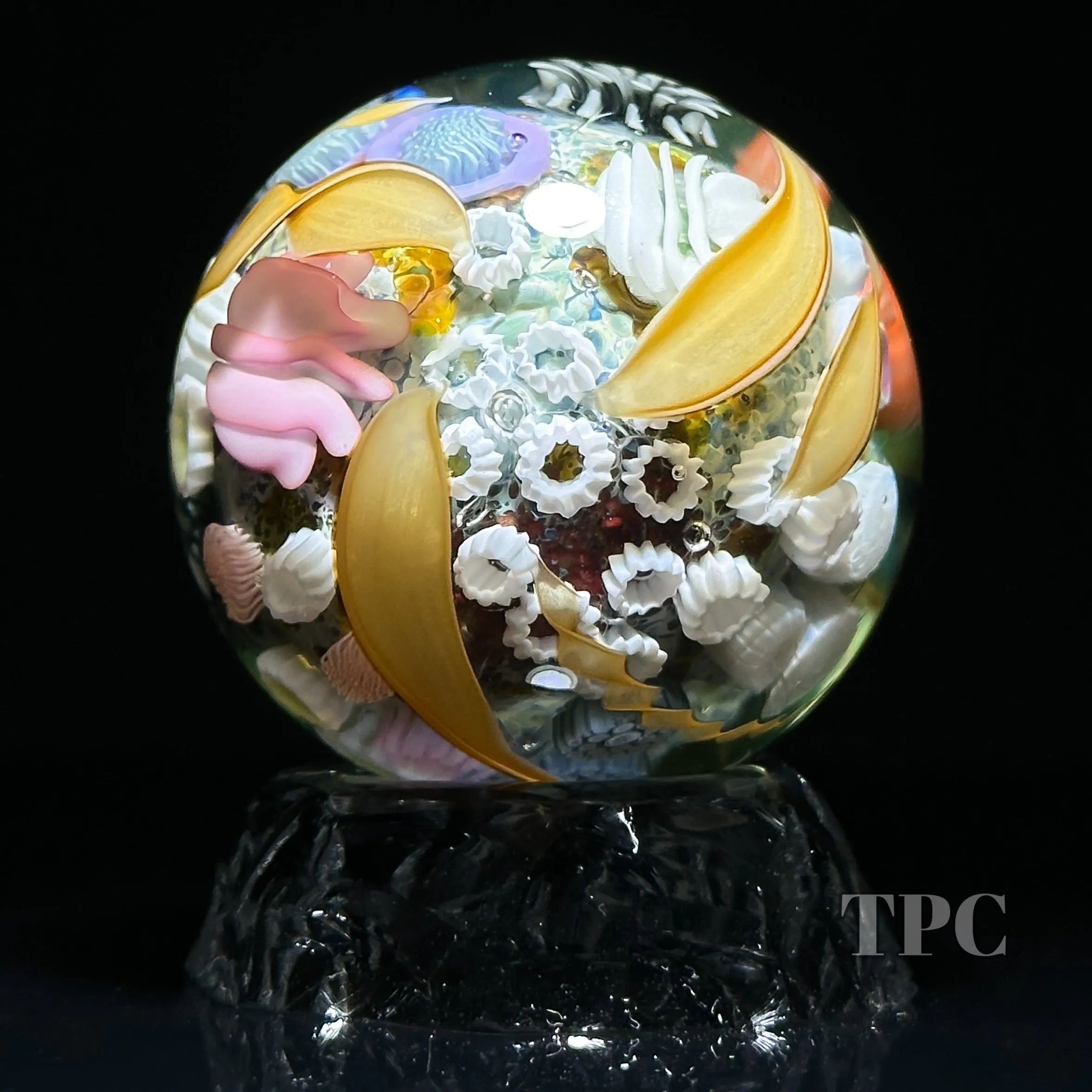 Jared DeLong 2023 Glass Art Marble Pacific Coast Tide Pool Series with Bioluminescent Barnacles & Flamework Kelp