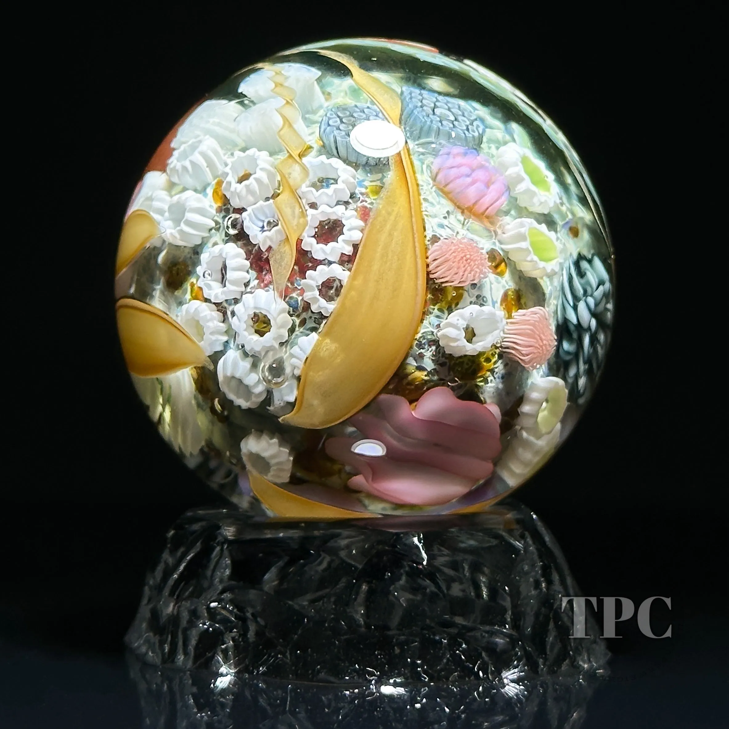 Jared DeLong 2023 Glass Art Marble Pacific Coast Tide Pool Series with Bioluminescent Barnacles & Flamework Kelp