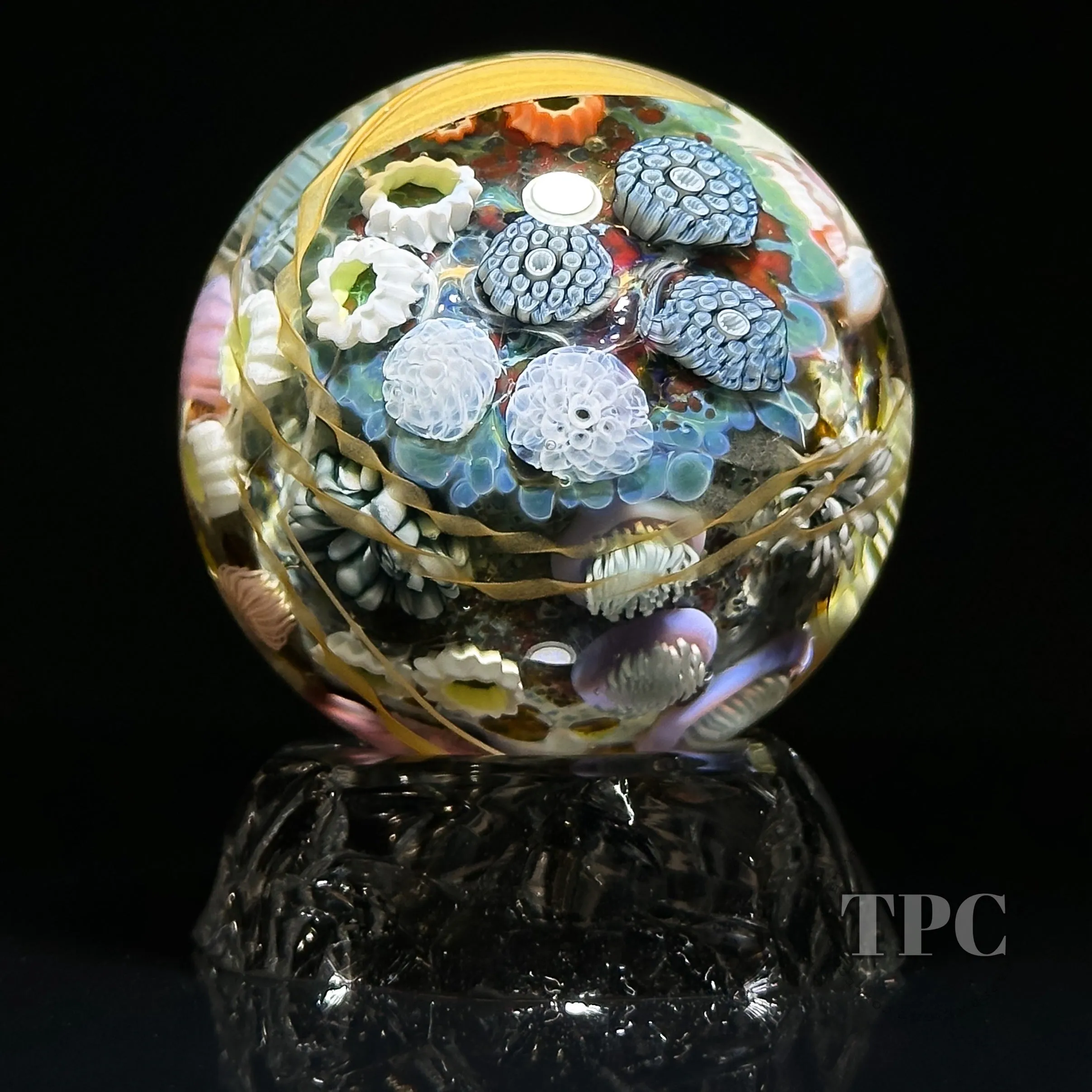 Jared DeLong 2023 Glass Art Marble Pacific Coast Tide Pool Series with Bioluminescent Barnacles & Flamework Kelp