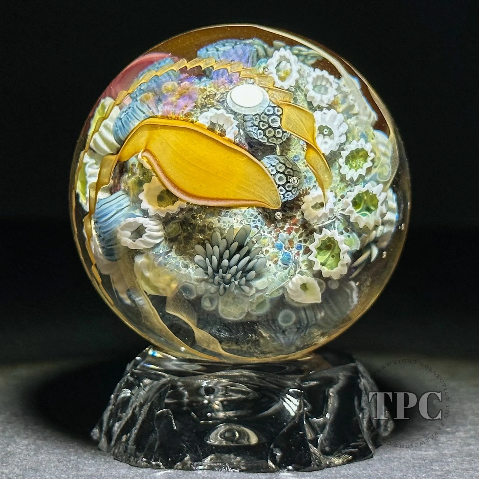 Jared DeLong 2023 Glass Art Marble Pacific Coast Tide Pool Series with Bioluminescent Barnacles & Flamework Kelp