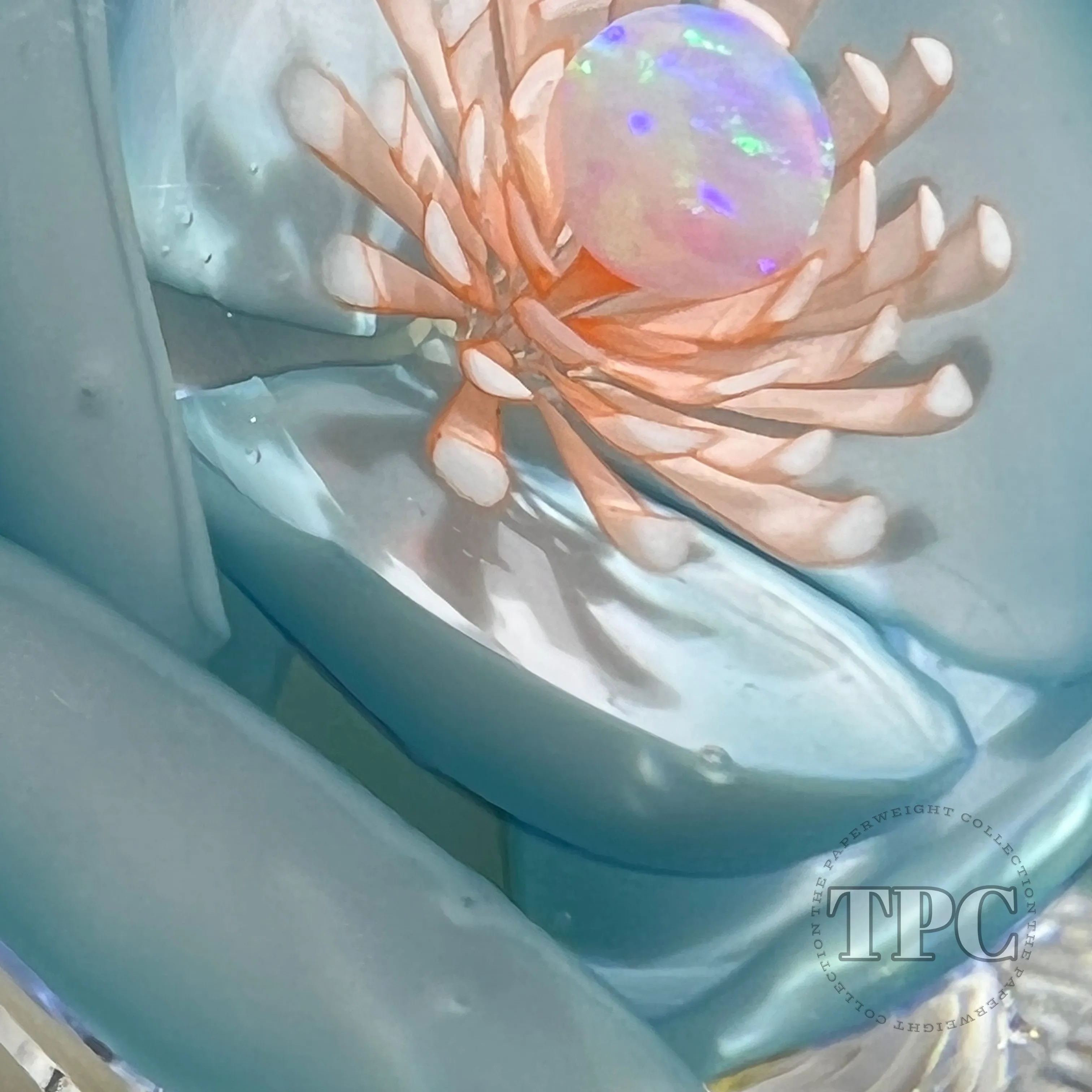 Jared DeLong Glass Art Paperweight Flamework Blue Blossom with Opal over Upset White Muslin Lace