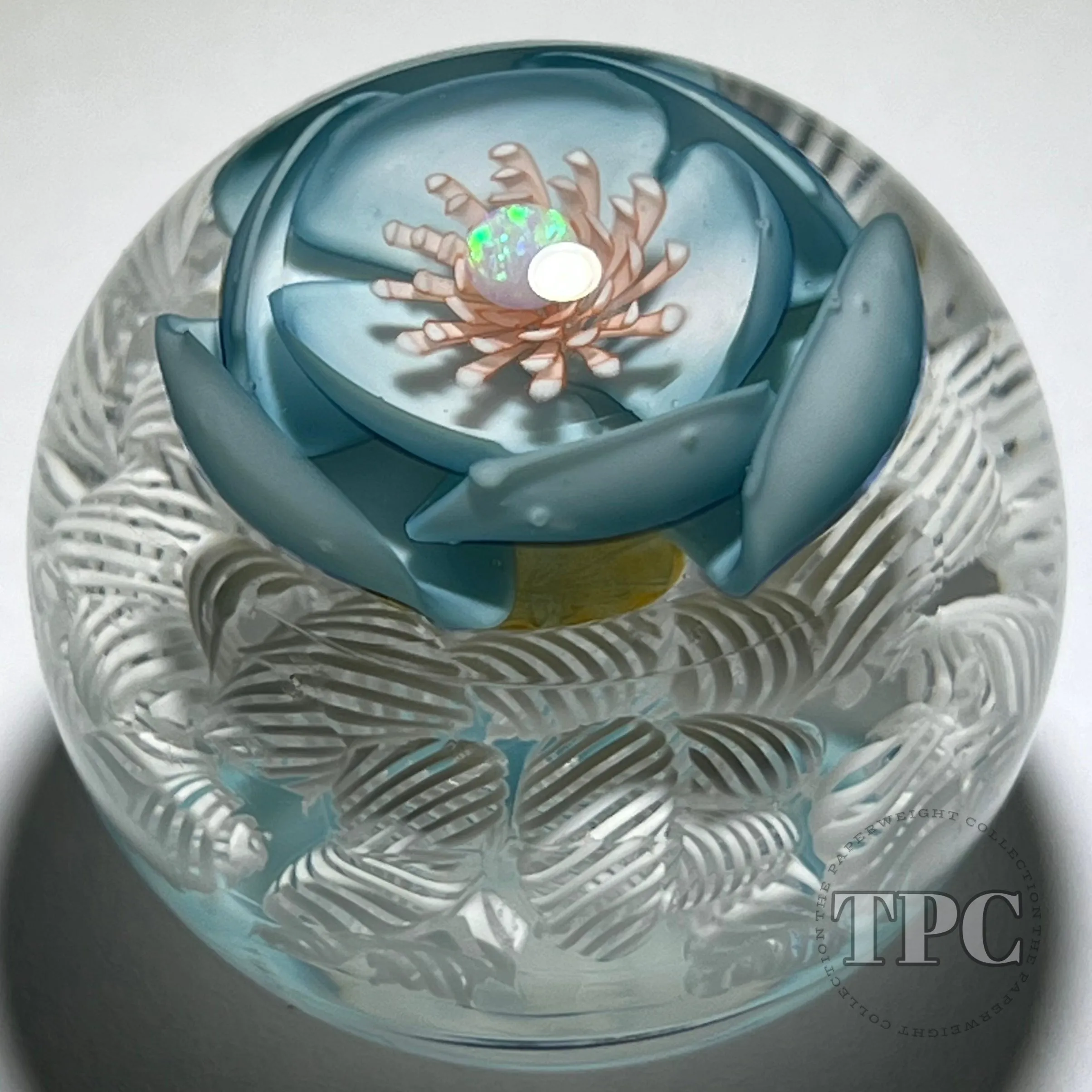 Jared DeLong Glass Art Paperweight Flamework Blue Blossom with Opal over Upset White Muslin Lace