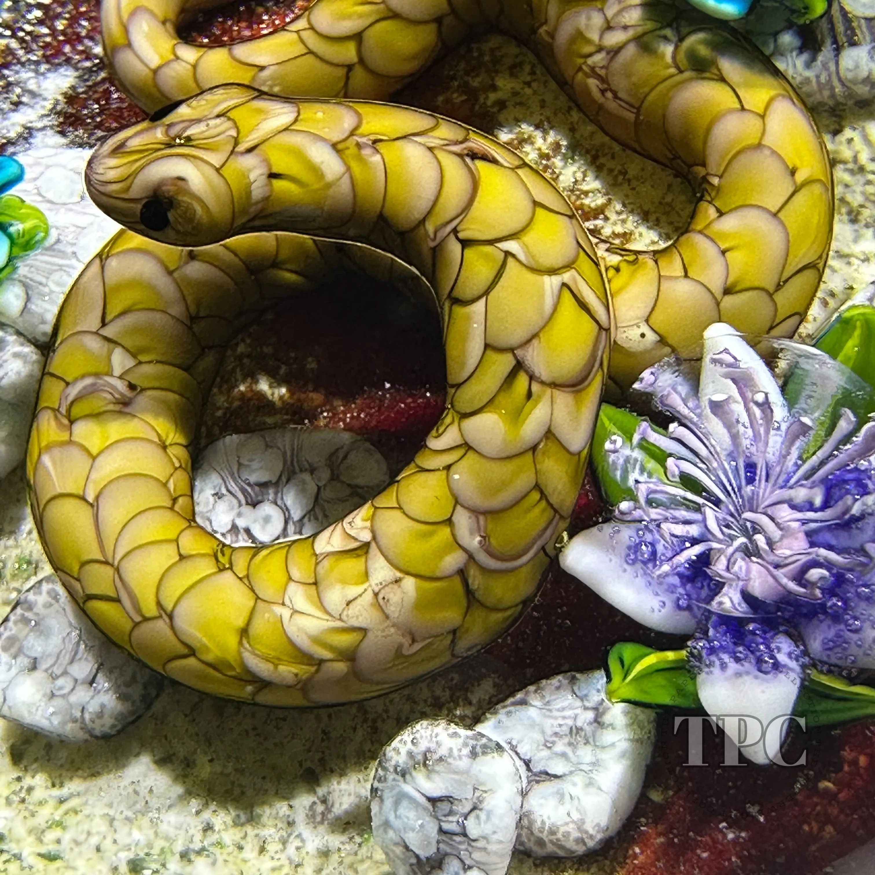 Ken Rosenfeld 2022 Glass Art Paperweight Flamework Brown Scaled Snake on Sand with Pebbles & Perennial Flowers